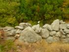 Filename=20090915143516.jpg
Filesize=614KB
Dimensions=2816x2112
Date added=Oct 09, 2009 20090915143516.jpg