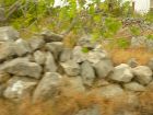 Filename=20090915143520.jpg
Filesize=590KB
Dimensions=2816x2112
Date added=Oct 09, 2009 20090915143520.jpg