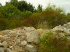 Filename=20090915143531.jpg
Filesize=664KB
Dimensions=2816x2112
Date added=Oct 09, 2009 20090915143531.jpg
