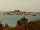 Filename=20090915150651.jpg
Filesize=563KB
Dimensions=2816x2112
Date added=Oct 09, 2009 20090915150651.jpg