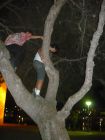 Filename=20090909213746.jpg
Filesize=526KB
Dimensions=2448x3264
Date added=Oct 09, 2009 20090909213746.jpg