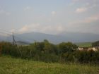 Filename=20090802185959.jpg
Filesize=775KB
Dimensions=3648x2736
Date added=Aug 03, 2009 20090802185959.jpg